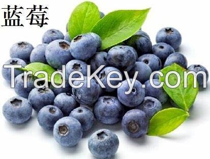 sell Bilberry Extract powder