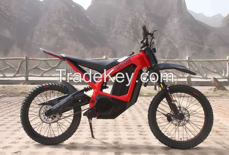 sell LI battery ebike/e-bike/ebicycle/ LI battery electric bike