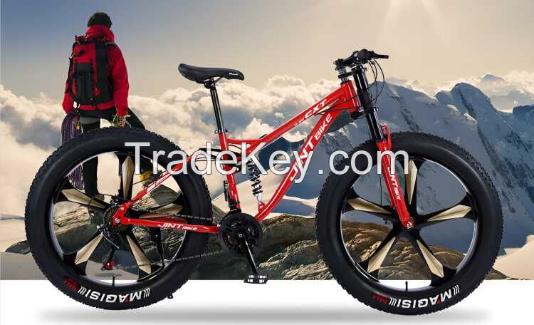 factory sell 4.0 snow fat mountain bike/fat bicycle