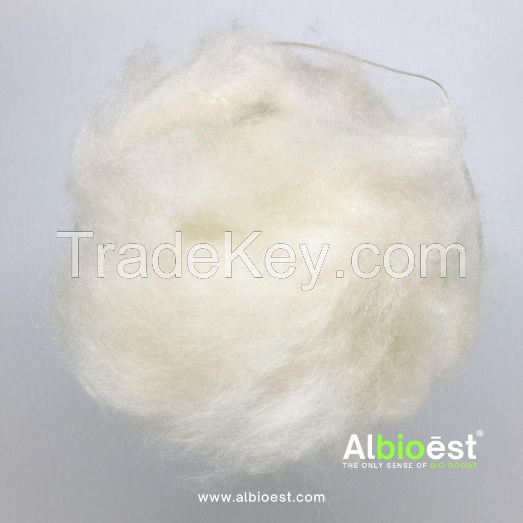 Kapok Fiber