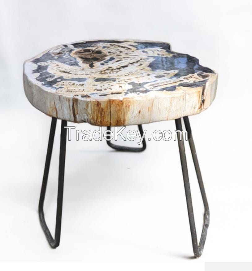 Selling petrified wood  round coffee table