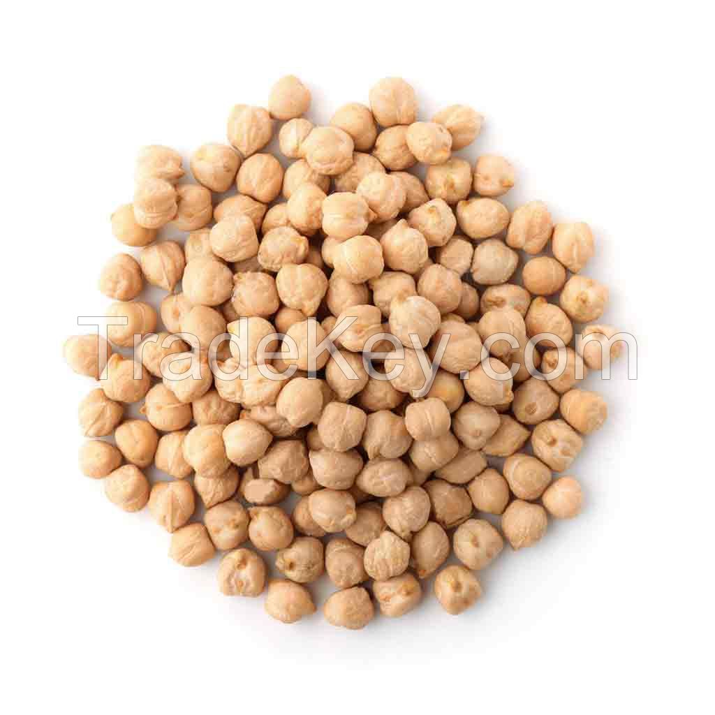 Wholesale Chickpea Organic High Quality chickpeas in Bulk