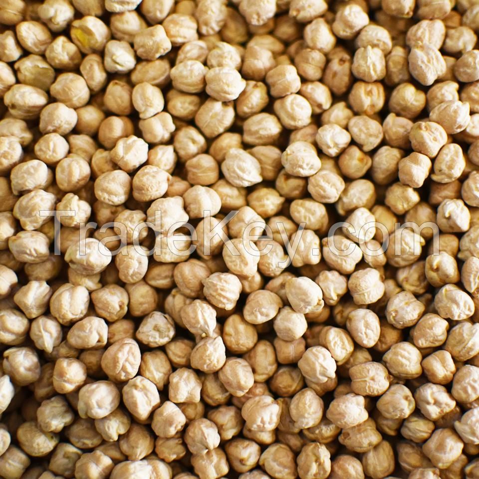 Kabuli Chickpeas for Sale Dried Raw White Original Crop Bulk