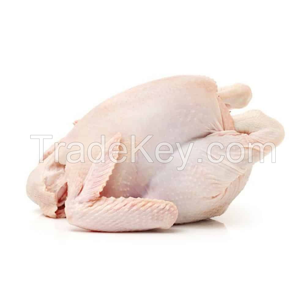 Top Quality Wholesale Frozen Chicken For Sale at Best Price