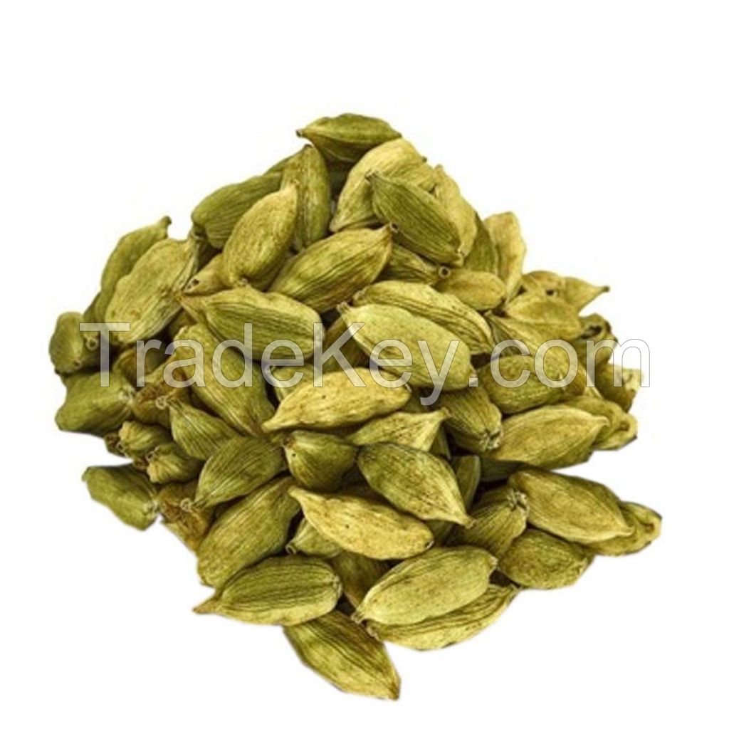 spices green cardamom 6m7m8m Wholesale dried cardamom green