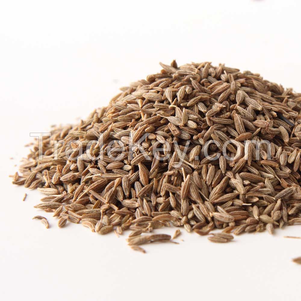 Excellent Food Additives Cumin Seeds Premium Grade Spices Cumin Seeds Cheap And Good Quality Cumin Seeds