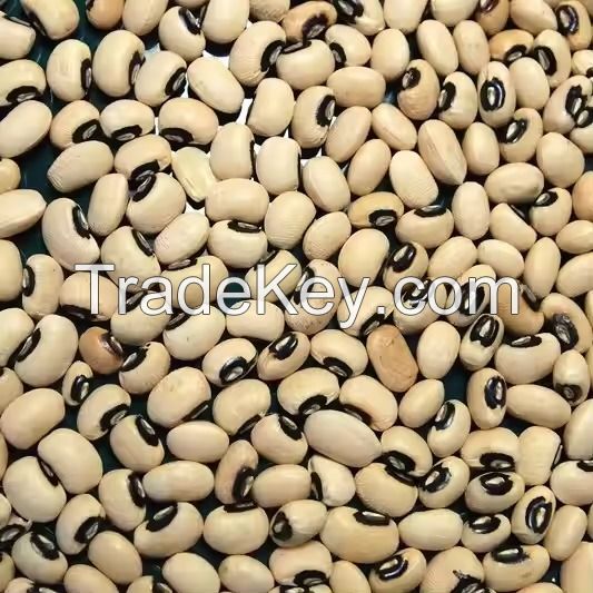 Black kidney beans and white kidney beans and black kidney beans at the very best prices now with fast delivery time