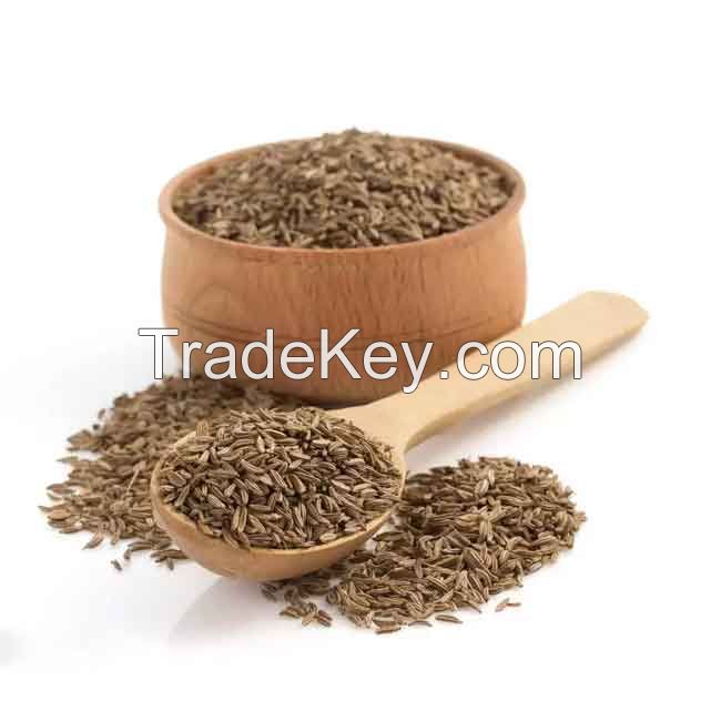 Wholesale Price Natural Cumin Seeds Single Spices A Grade Organic Cumin Seeds for Sale from Supplier