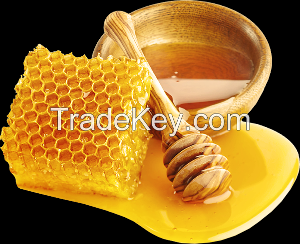 Honey Factory Wholesale Fresh Forest Bulk Raw Bee Honey Organic Natural Royal Honey a Grade ORIGINAL