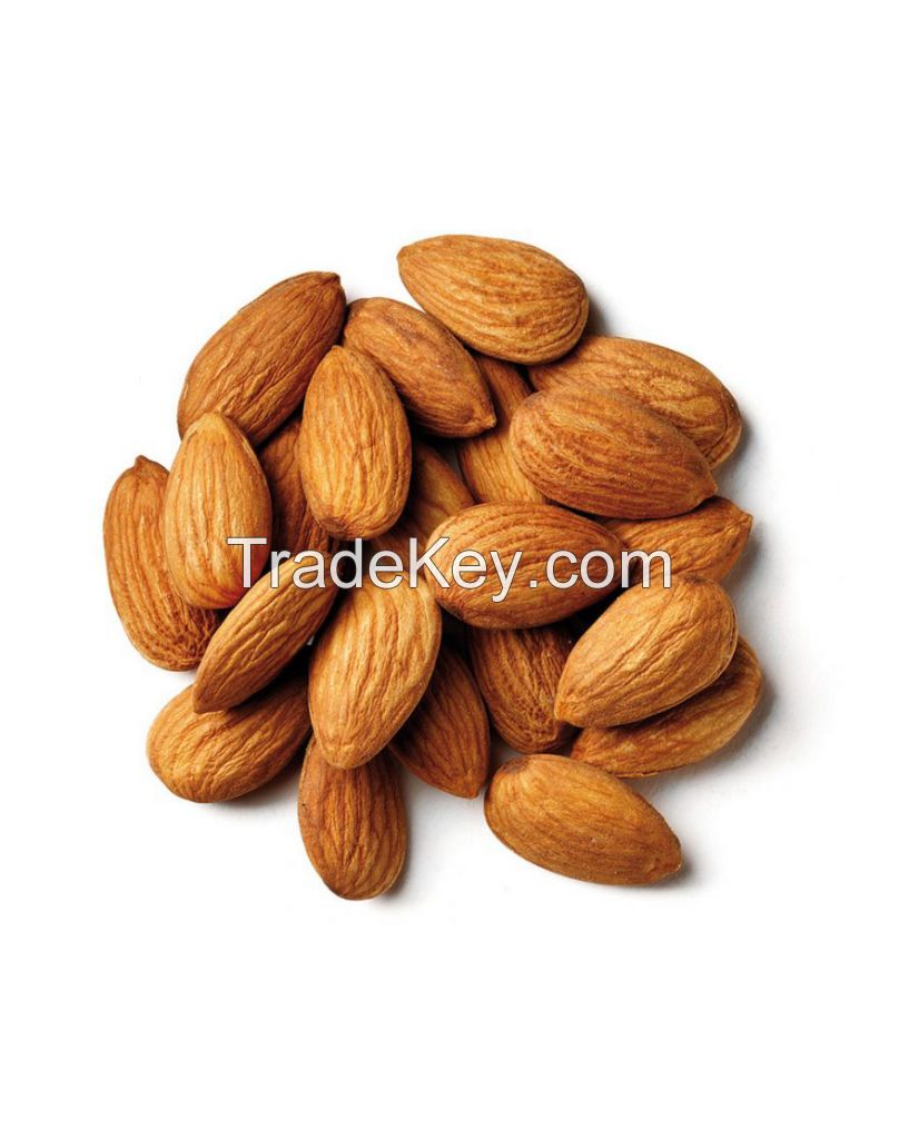 Wholesale High Quality Factory Price Granule Shape Product Raw or Roasted Almond Nut Natural food