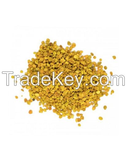 Rainwood high quality natural bee pollen powder factory supply pollen powder free sample bee pollen organic for sale