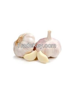 High Quality Garlic Used As A Seasoning For Dishes  Dried Garlic Organic Packed In Box garlic normal white for sale in bulk