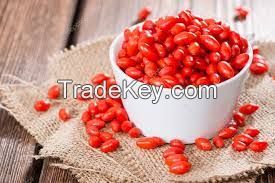 New Arrival High Quality Herbal Tea Dried goji berries Fruit Whole Sale Raw and Export Variety AD Drying Process