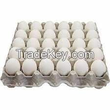 Farm Fresh  Table Eggs of Fresh Protein Top Quality Fresh white Table Chicken Egg At Cheap Price Fresh Brown Chicken Eggs