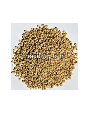 high quality red and white sorghum seed flour white grains packing in bags for sale seed sorghum grains sorghum flour