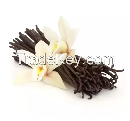 100% Pure Dark Vanilla Beans Grade AA 110-20cm Vanilla Bean For Baking