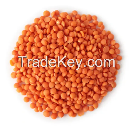 High Quality Organic Red Lentils / Split Red Lentils Available For Sale