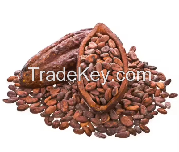 Specialty Coffee Beans / Coffee Beans for Sale