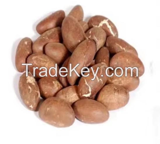 Top Common Bitter Kola/Bitter kola Nuts