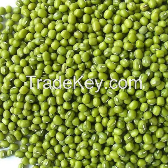 DRIED STYLE GREEN GRAM/GREEN MUNG BEANS