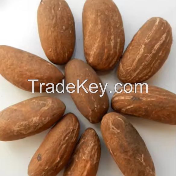 Fresh Wholesale Bitter Kola Nuts In Cheap Price