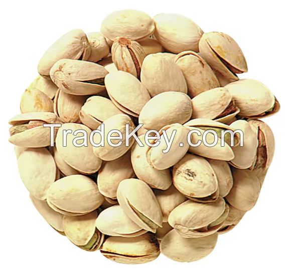 Fresh And Salted Pistachio Nuts For Sale