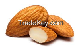 Organic Almond Nuts available from Netherland