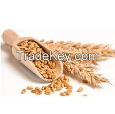 Pure Natural High manufacturer Wheat Bran for animal feed