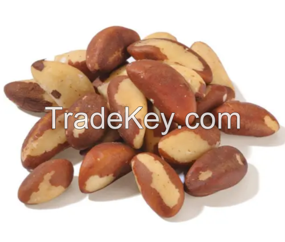 100% cheap price Brazil Nuts / Raw brazil nuts available for sale