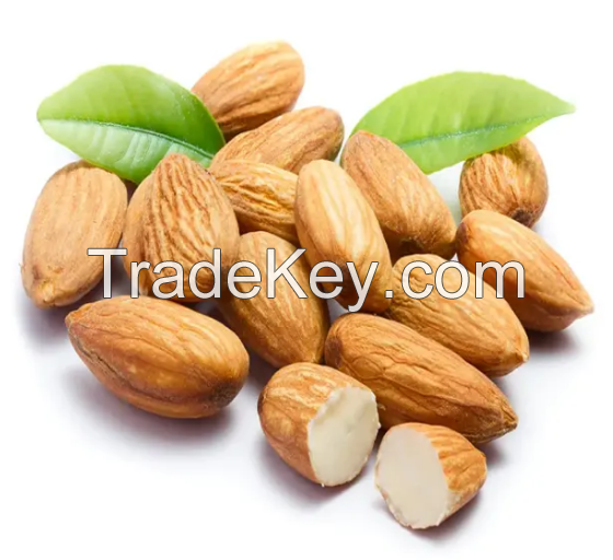 Wholesale Delicious and Healthy Raw Almond Nuts Organic Almonds