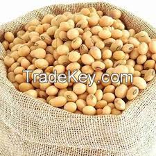 Premium Quality Yellow Soybean