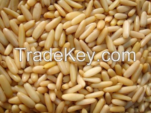 Top quality pine nuts