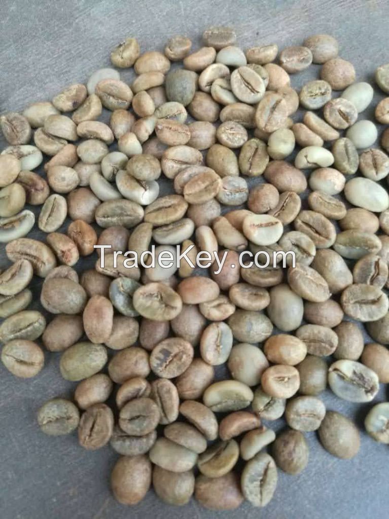 Quality Green Robusta Coffee Beans