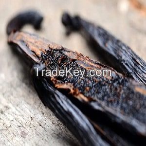 Vanilla Beans Planifolia Gourmet