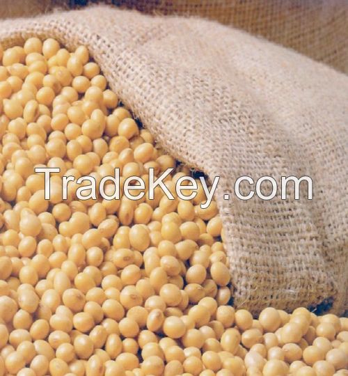 Brazilian Yellow Soybeans NON GMO