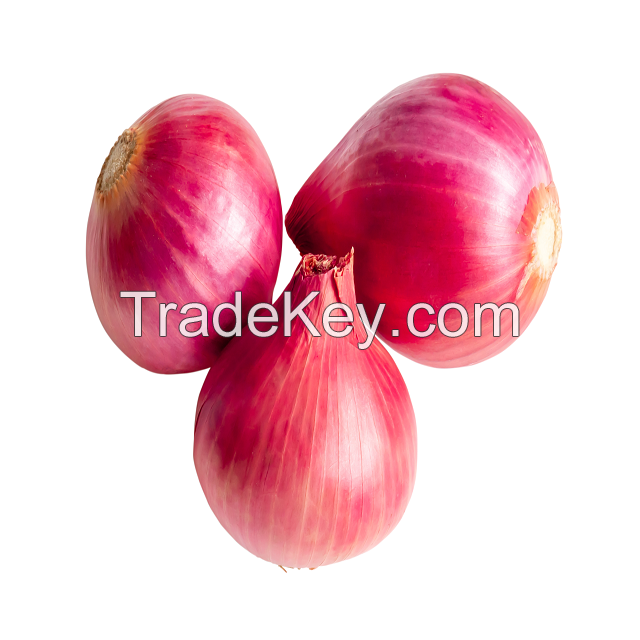 Best Price Fresh Onions Bags Mesh Bag Rich Nutrition In Stock Buy Fresh Onions Wholesale Fast Delivery Available For Sale