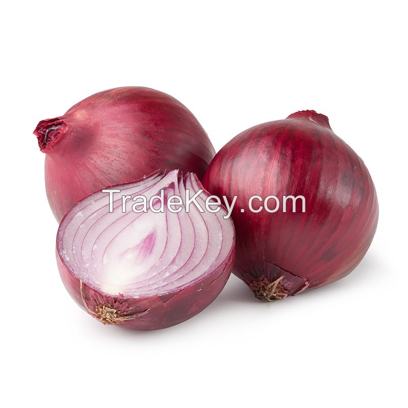 Hot Selling Fresh Onions Bags Vegetable Mesh Bag Rich Nutrition Best Price In Stock Fresh Onions Buy Now Wholesale Available For Sale