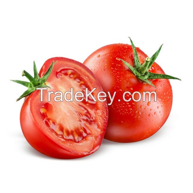 Best Price Most Fresh Pure Natural High Quality Tomatoes Manufacturer In Stock Fast Delivery For Sale