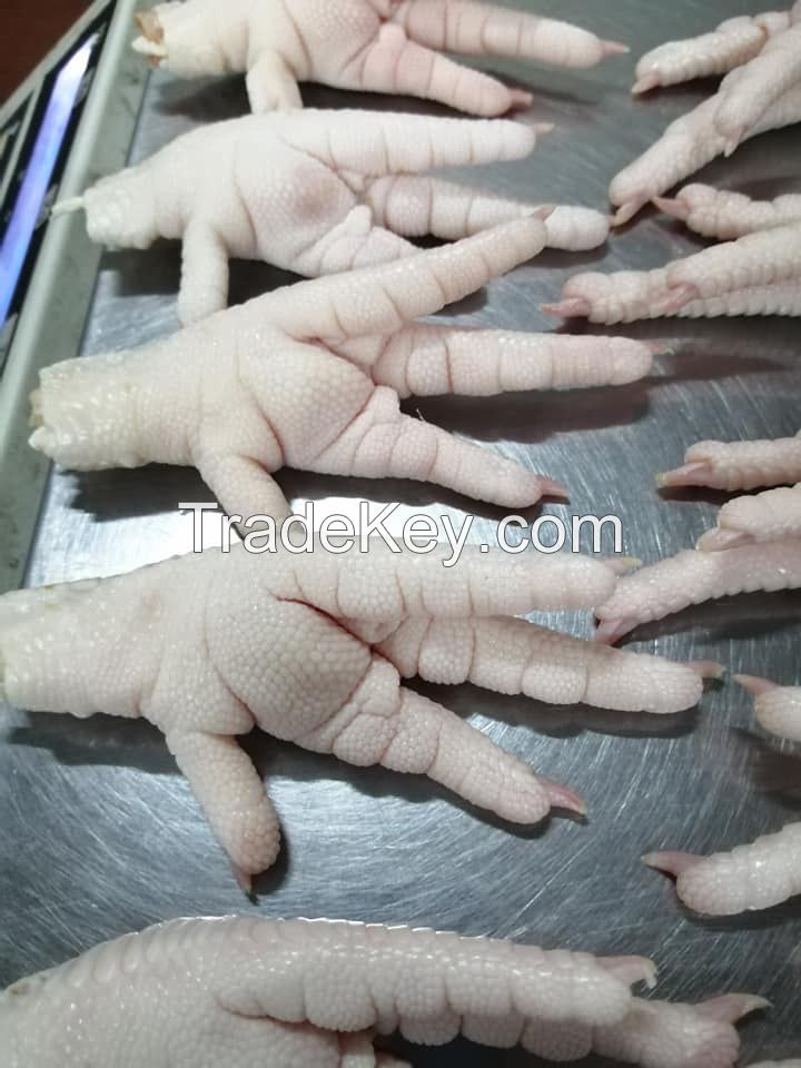 Frozen Chicken Feet