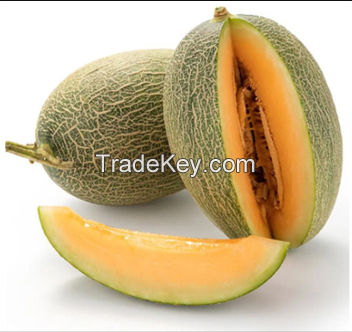 Fresh Melon of all varieties