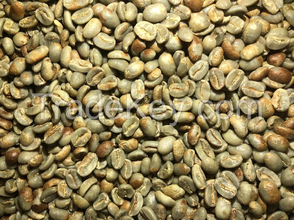 Specialty Arabica Honey Process Green Coffee Beans