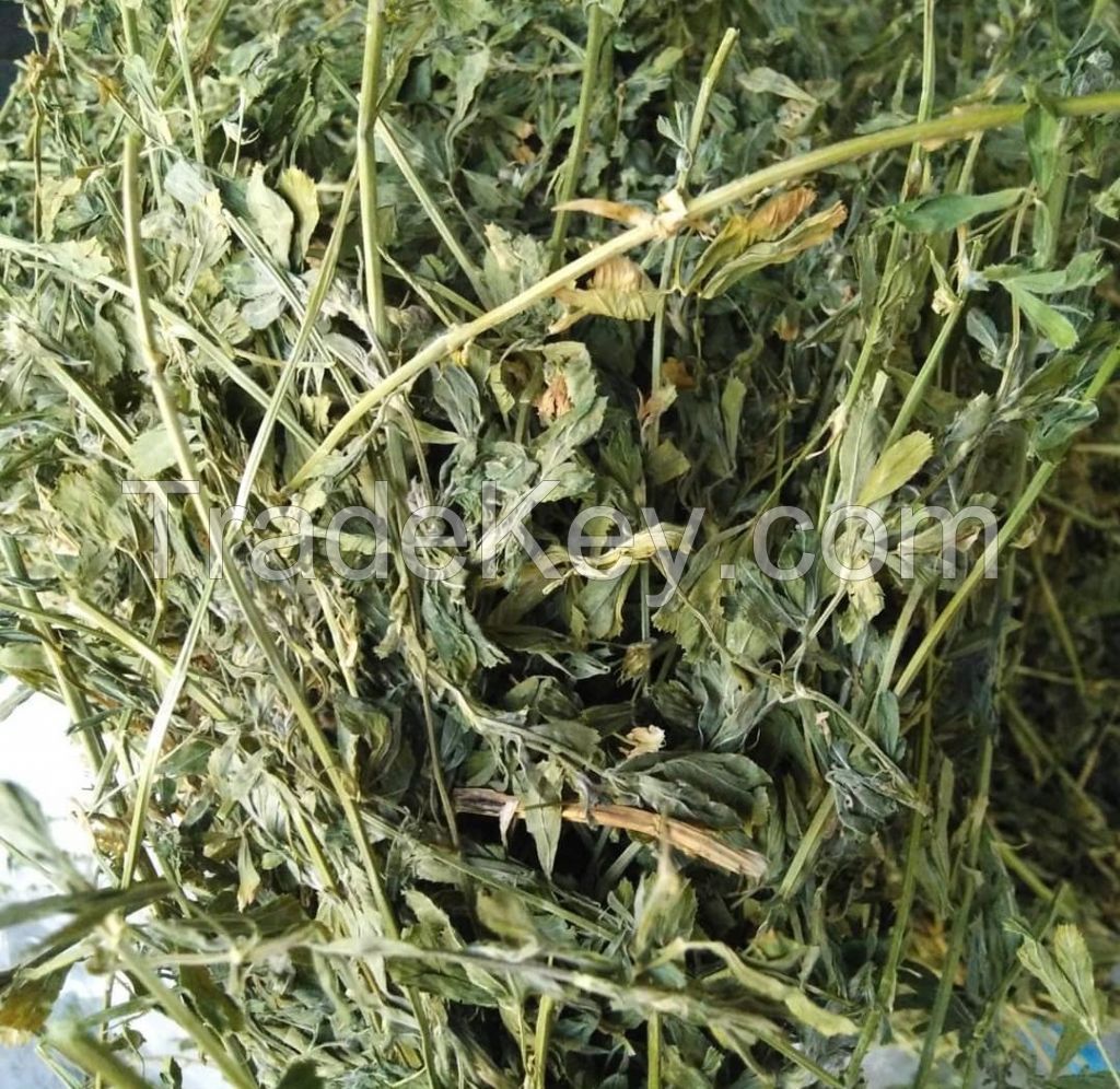 Alfalfa hay grade for sale