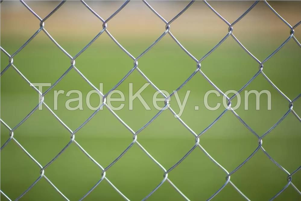 Galvanized Chain Link Fence/PVC Coated Chain Link Fencing/Green Chain Link Fence