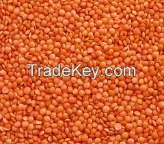 Lentils, Red Lentils, Pink Lentils All Colours, quality whole and split 100% Quality