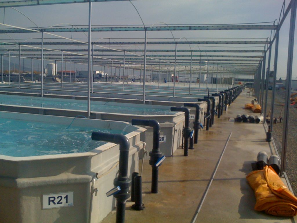 Aquaculture Fish Tanks