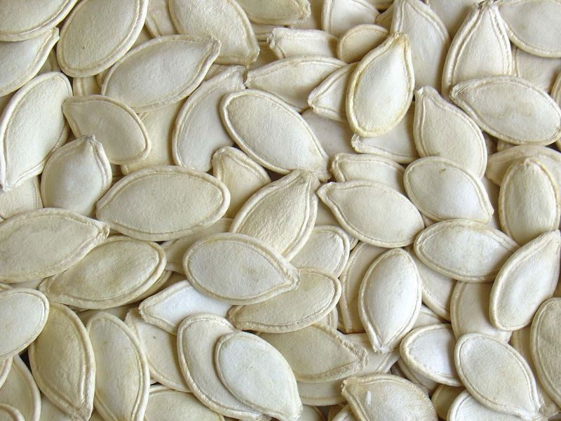 shine skin pumpkin seeds 9mm