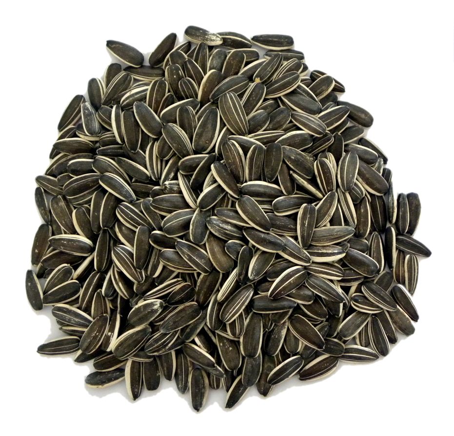 sunflower seeds