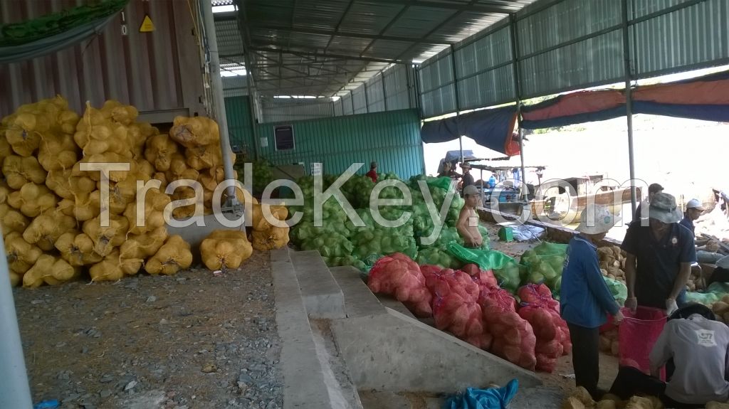 Dried mature coconut, fresh coconut (+84 935 732 658)