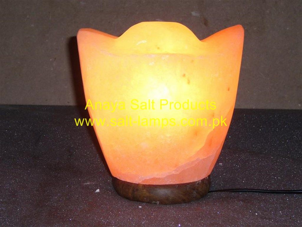 Himalayan Flower Salt Lamps/Himalayan Crafted Flowers and Fancy Salt Lamps/Himalayan Crystal Rock Salt Lamps/Himalayan Salt Diffuser and Ionizer