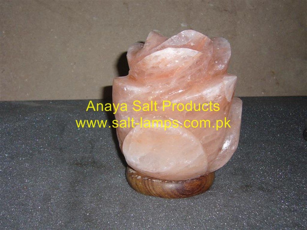 Himalayan Flower Salt Lamps/Himalayan Crafted Flowers and Fancy Salt Lamps/Himalayan Crystal Rock Salt Lamps/Himalayan Salt Diffuser and Ionizer